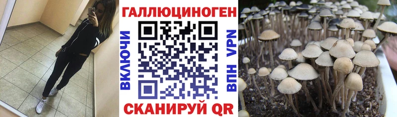 Псилоцибиновые грибы Magic Shrooms  Купить закладки  Зуевка 